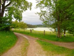 2013-05-19_Iffeldorf_Aiderbichl (67).JPG
